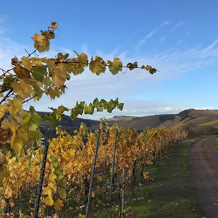 Haus Rosenberg Vakantiehuis *