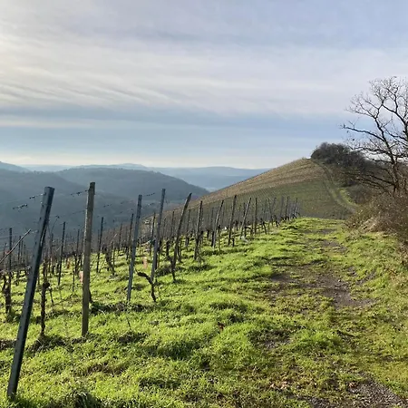 Haus Rosenberg Vakantiehuis Wiltingen