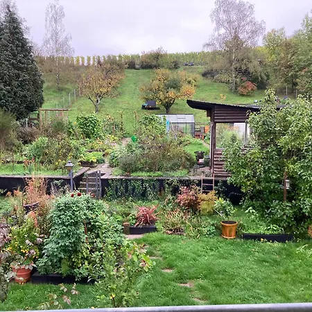 Haus Rosenberg Wiltingen