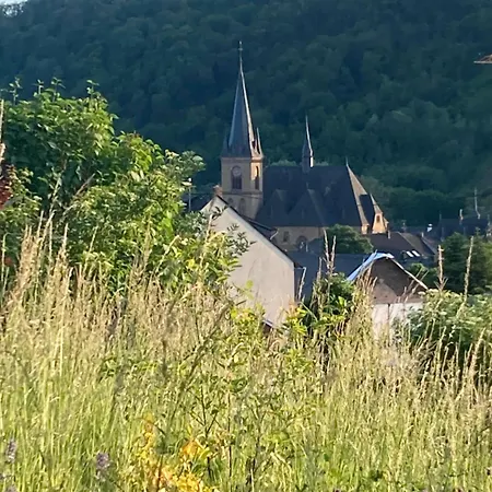 Haus Rosenberg Wiltingen