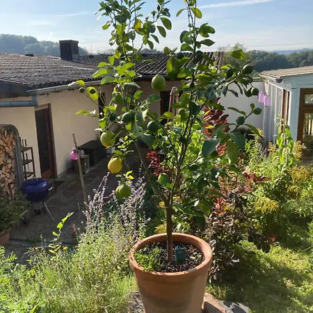 Haus Rosenberg Vakantiehuis *