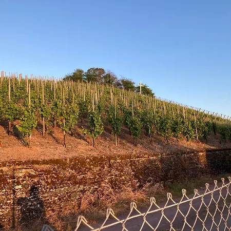 Vakantiehuis Haus Rosenberg Wiltingen