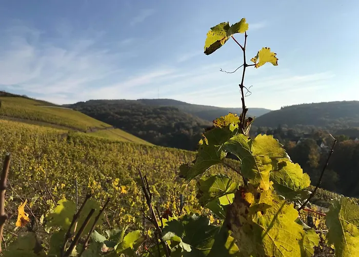 Casa de Férias Haus Rosenberg *