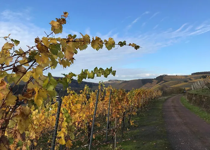 Haus Rosenberg Casa de Férias *