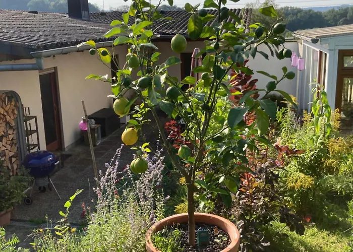 Haus Rosenberg Casa de Férias *